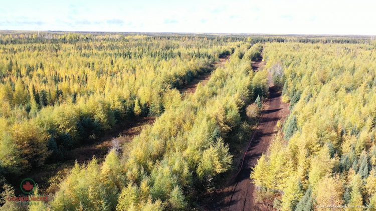 Canada Nickel Identifies Multiple Nickel Targets on Recently Acquired Option Properties