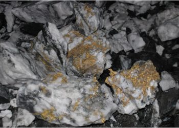Karora Resources Announces New Coarse Gold Occurrence at Beta Hunt Providing Further Support of Coarse Gold Geological Model