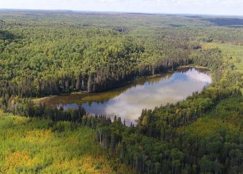 RJK Discovers New Kimberlite at Lightning Lake in the Historic Cobalt Mining Camp, Expands Gleeson Kimberlite