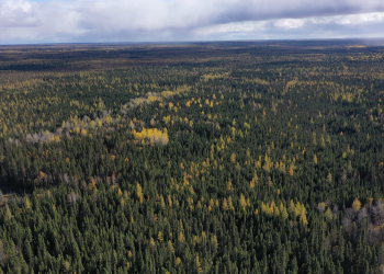 Exploration Update: Noble Finalizes Agreement to Acquire Additional Areas in MacDiarmid and Loveland Townships from IEP