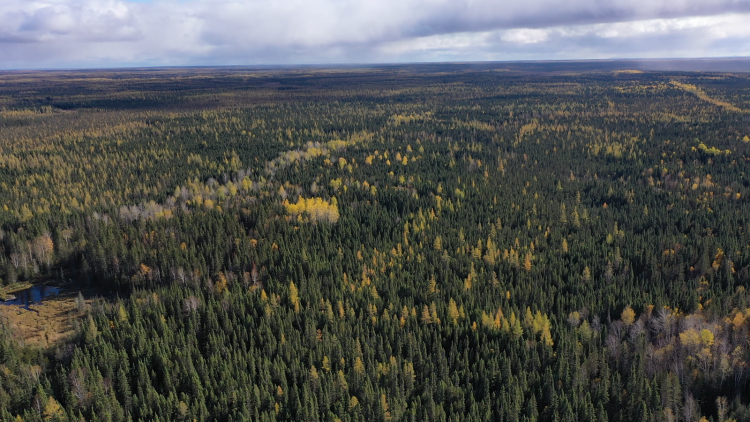 Exploration Update: Noble Finalizes Agreement to Acquire Additional Areas in MacDiarmid and Loveland Townships from IEP