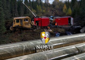 Project 81: Dargavel Exploration Update