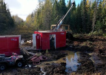 Project 81 Exploration Update Dargavel Gold Target Drilling Results