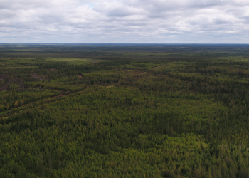 Spruce Ridge Forms Joint Venture with Private Group to Explore VMS and Gold Targets on Crawford Property