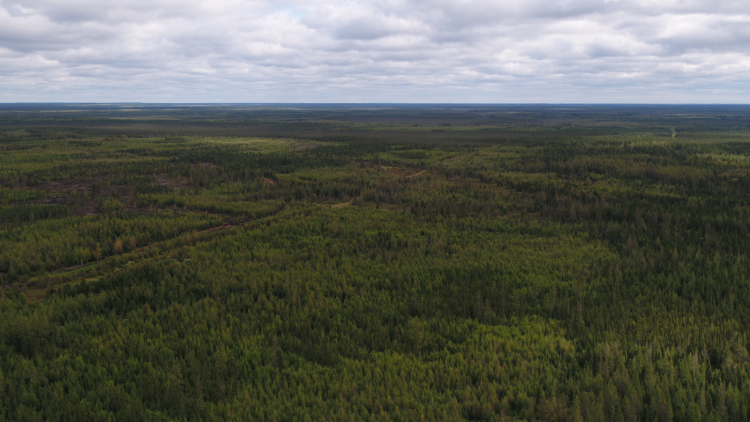 Spruce Ridge Forms Joint Venture with Private Group to Explore VMS and Gold Targets on Crawford Property