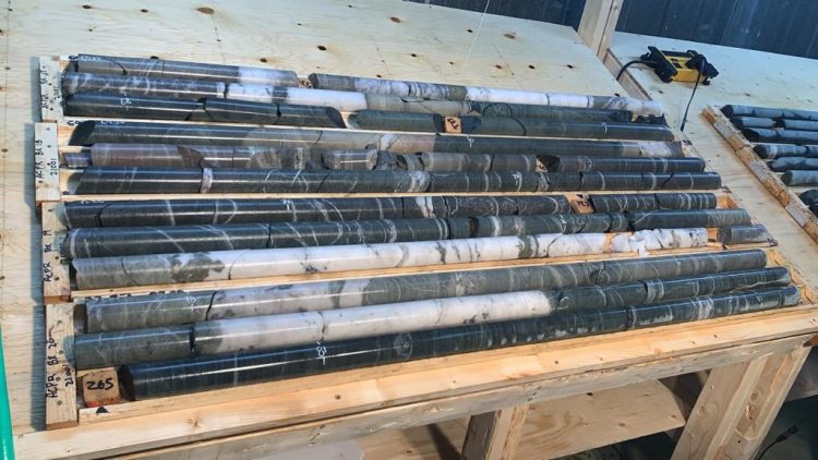 ArcPacific Intersects Multiple Wide Zones of Quartz Veining in First Four Holes