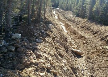 Puma Identifies First Priority Targets Over 7 Km From Airborne Geophysical Survey at Williams Brook Gold Property in New Brunswick, Canada