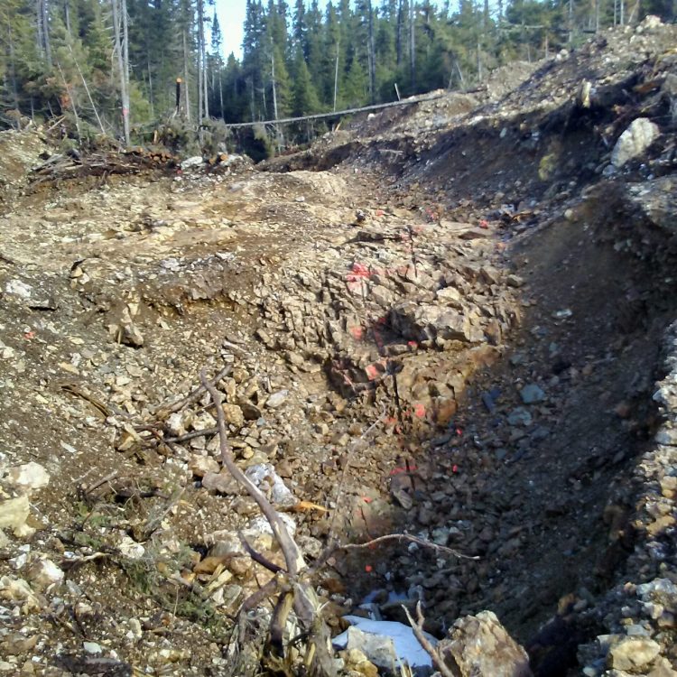 Puma Launches Its 2021 Field Exploration Campaign at Williams Brook Gold Property in New Brunswick, Canada