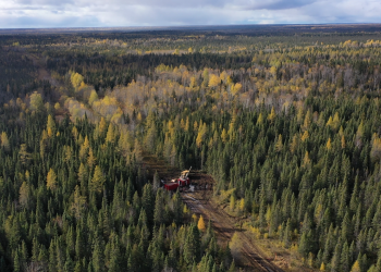 PROJECT 81 Exploration Update – Carnegie Twp.: JV Partner Announces Down Hole Geophysics and Proposed Additional Drilling Program