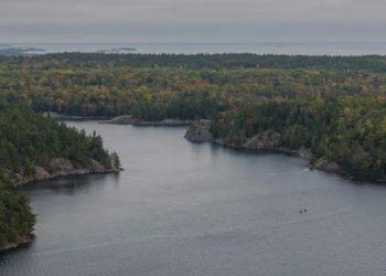 Windfall Geotek Stakes Additional Claims in Red Lake Mining Camp Near AurCrest Gold’s Ranger Lake Property