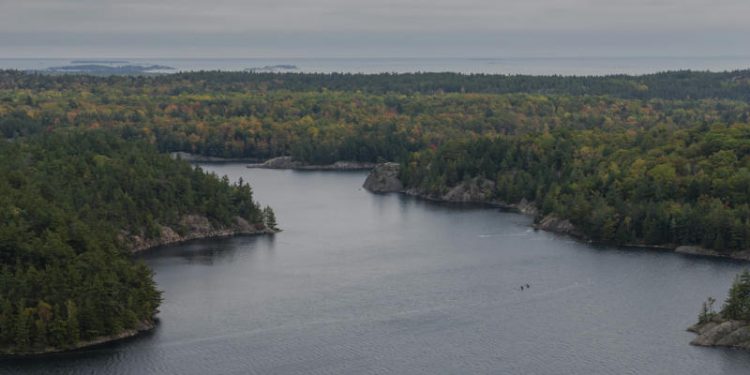 Windfall Geotek Stakes Additional Claims in Red Lake Mining Camp Near AurCrest Gold’s Ranger Lake Property