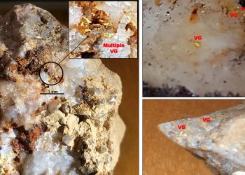 Puma Exploration Discovers More Quartz Veins and Visible Gold at Lynx on the Williams Brook Gold Property in New Brunswick, Canada