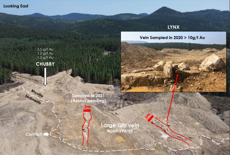 Puma Exploration Intersects Mineralization and Alteration in All Drill Holes at Williams Brook Gold Property, New Brunswick, Canada