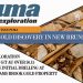 Major Gold Discovery in New Brunswick: Puma Exploration Drills 5.55 g/t Au over 50.15 meters* on initial drilling at Williams Brook Gold Property