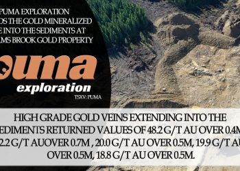 Puma Exploration Extends the Gold Mineralized Zone Into the Sediments at Williams Brook Gold Property