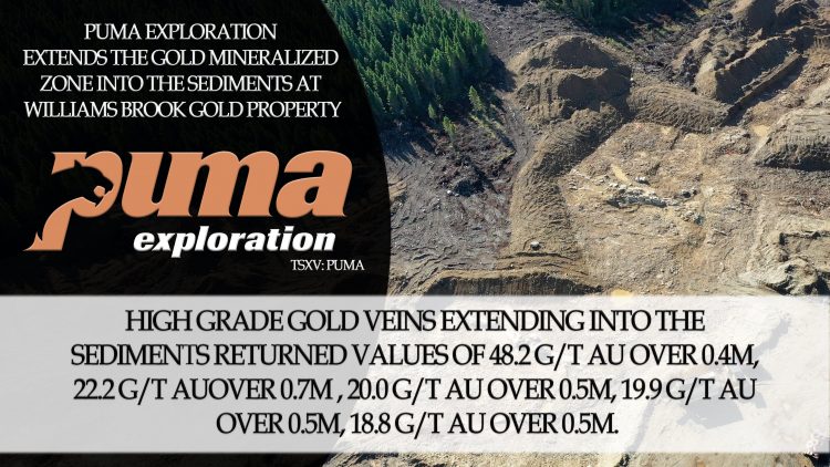 Puma Exploration Extends the Gold Mineralized Zone Into the Sediments at Williams Brook Gold Property