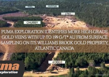 Puma Exploration Identifies More High-Grade Gold Veins With up to 199 G/T* Au From Surface Sampling on Its Williams Brook Gold Property, Atlantic Canada