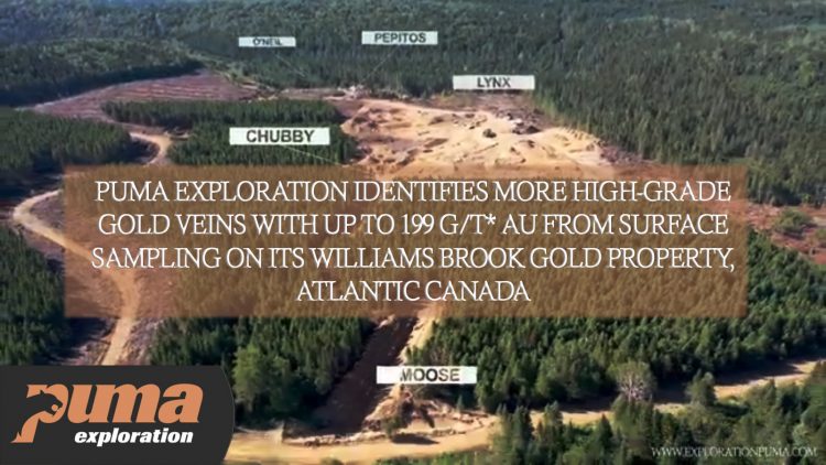 Puma Exploration Identifies More High-Grade Gold Veins With up to 199 G/T* Au From Surface Sampling on Its Williams Brook Gold Property, Atlantic Canada