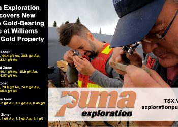 Puma Exploration Discovers New Visible Gold-Bearing Zone at Williams Brook Gold Property