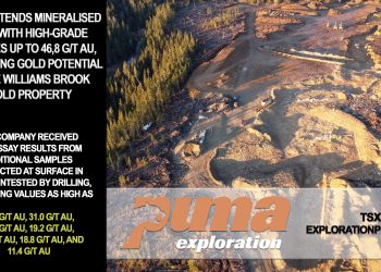 Puma Extends Mineralised Zone With High-Grade Samples up to 46,8 g/t Au, Increasing Gold Potential at the Williams Brook Gold Property