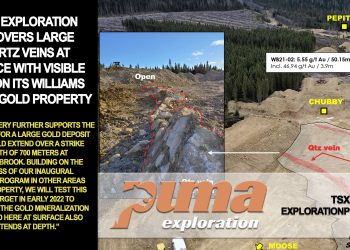 Puma Exploration Discovers Large Quartz Veins at Surface With Visible Gold on Its Williams Brook Gold Property