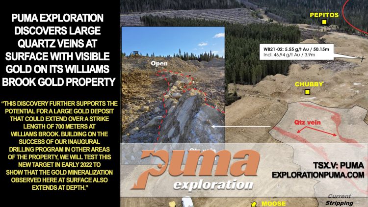 Puma Exploration Discovers Large Quartz Veins at Surface With Visible Gold on Its Williams Brook Gold Property