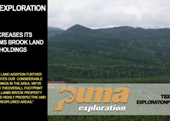 Puma Exploration Increases Its Williams Brook Landholdings