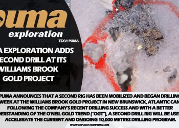 Puma Exploration Adds a Second Drill at Its Williams Brook Gold Project