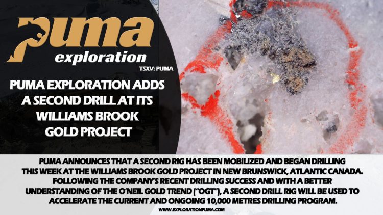 Puma Exploration Adds a Second Drill at Its Williams Brook Gold Project