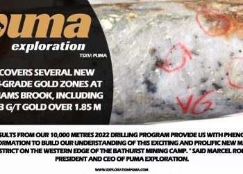 Puma Exploration Discovers Several New High-grade Gold Zones at Williams Brook, Including 51.73 G/t Gold Over 1.85 M