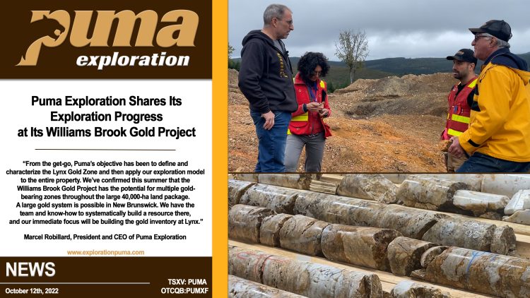 Puma Exploration Shares Its Exploration Progress at Its Williams Brook Gold Project