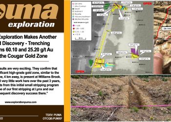 Puma Exploration Makes Another Gold Discovery – Trenching Returns 60.10 and 25.20 g/t Au at the Cougar Gold Zone