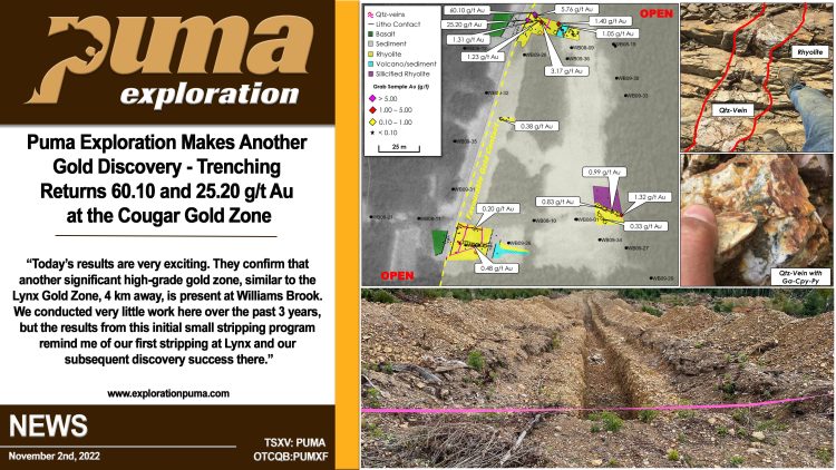 Puma Exploration Makes Another Gold Discovery – Trenching Returns 60.10 and 25.20 g/t Au at the Cougar Gold Zone