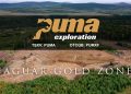 Jaguar Gold Zone – Puma Exploration (TSXV: PUMA)