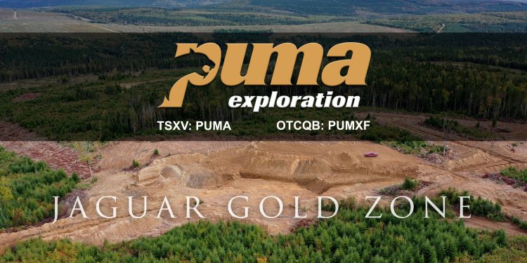 Jaguar Gold Zone – Puma Exploration (TSXV: PUMA)
