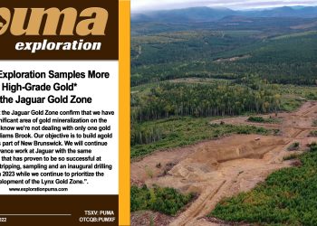 Puma Exploration Samples More High-Grade Gold* at the Jaguar Gold Zone
