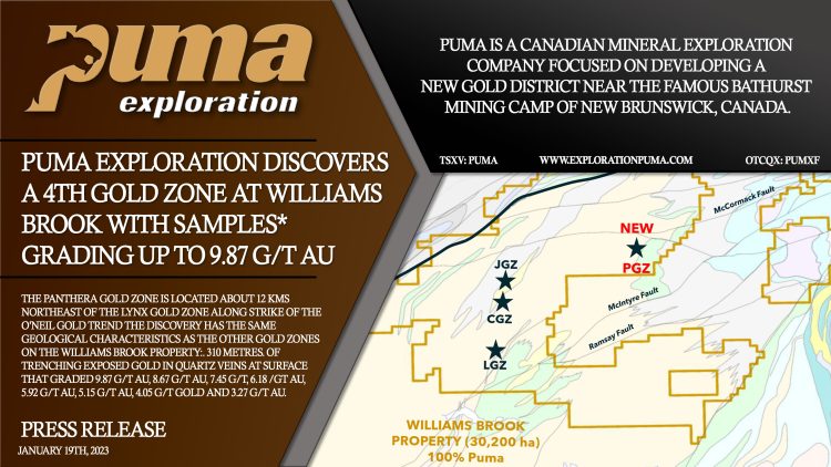 Puma Exploration Discovers a 4th Gold Zone at Williams Brook With Samples* Grading Up to 9.87 g/t Au