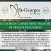 St-Georges Closes First Tranche of Private Placement