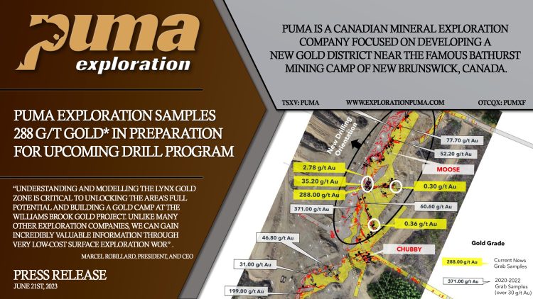 Puma Exploration Samples 288 g/t Gold* in Preparation for Upcoming Drill Program