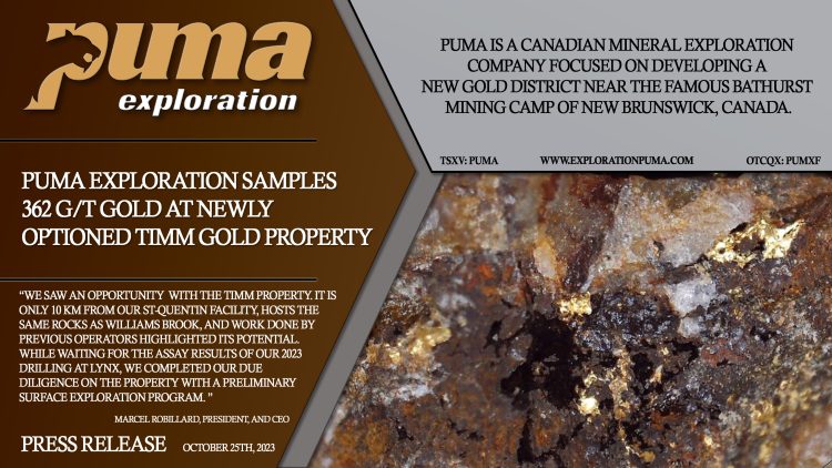 Puma Exploration Samples 362 g/t Gold at Newly Optioned TIMM Gold Property