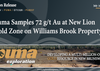 Puma Samples 72 g/t Au at New Lion Gold Zone on Williams Brook Property