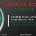 Canada Nickel Announces Assay Results from Massive Sulphide Intersection at Bannockburn Project