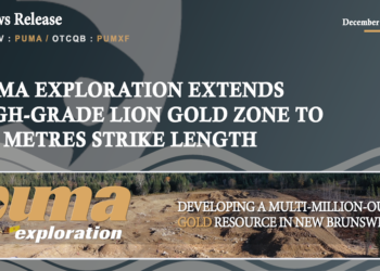 Puma Exploration Extends High-Grade Lion Gold Zone to 550 Metres Strike Length