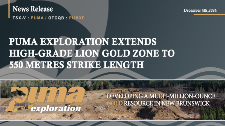 Puma Exploration Extends High-Grade Lion Gold Zone to 550 Metres Strike Length