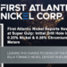 First Atlantic Nickel Reports New Discovery at Super Gulp: Initial Drill Hole Intersects 0.25% Nickel & 0.28% Chromium Over 293.8 Meters