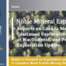 Noble Reports on Canada Nickel’s Continued Exploration Success at MacDiarmid, Provides Exploration Update