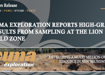 Puma Exploration Reports High-Grade Results from Sampling at the Lion Gold Zone