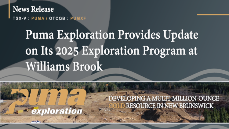 Puma Exploration Provides Update on Its 2025 Exploration Program at Williams Brook