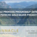 Pinnacle Provides Progress Update for El Potrero Gold-Silver Project