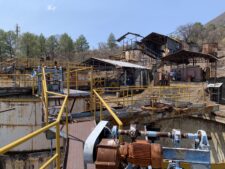 Potrero-plant-from-below-scaled